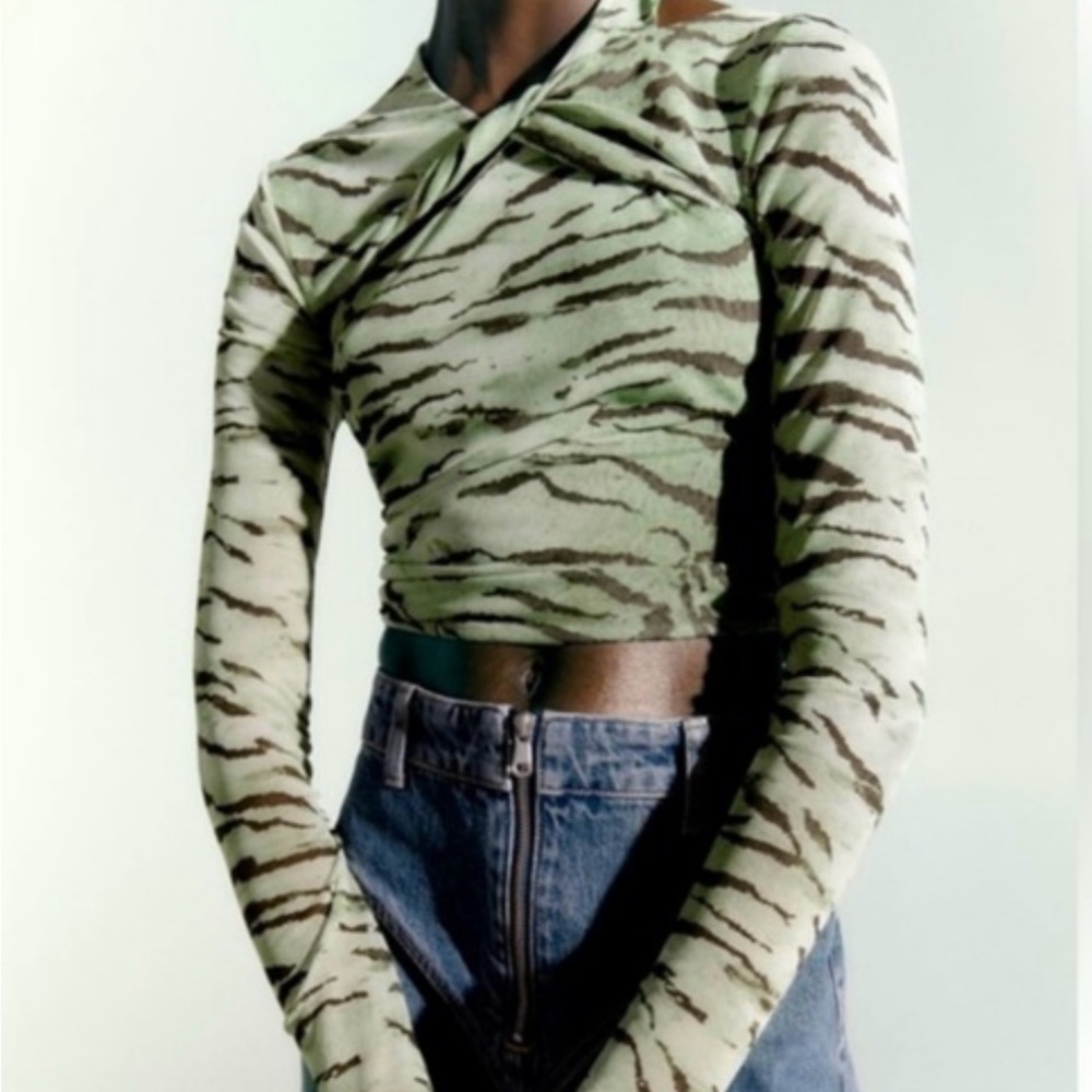 Zara Mesh Printed Top